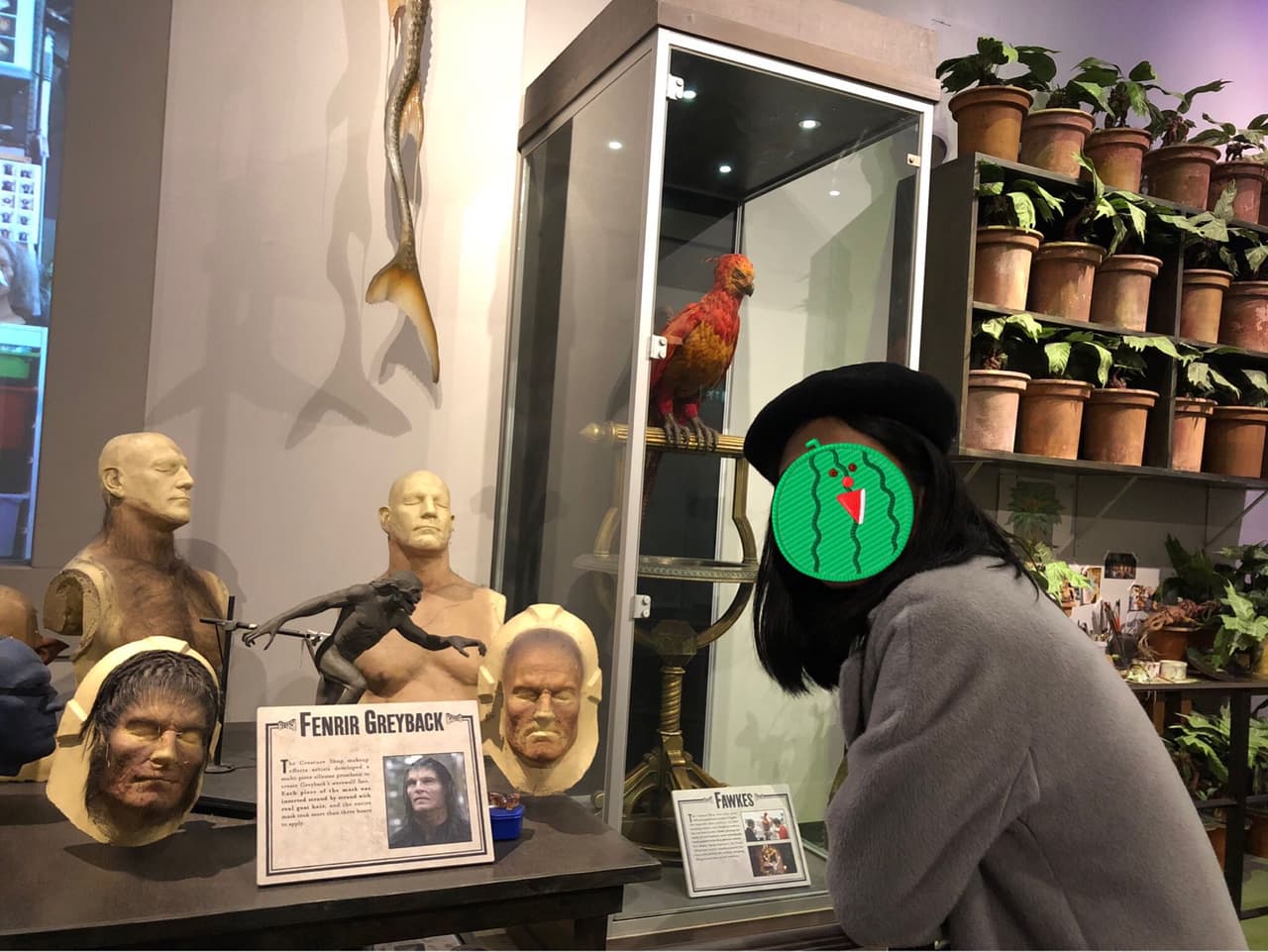 megapx