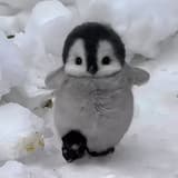 hhhhhhhwwwwwww