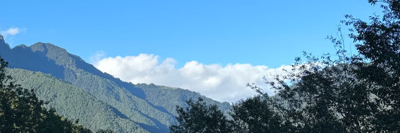 米是必須