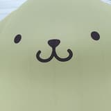 待我卷兔重來
