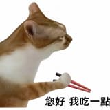 槍在手跟我走