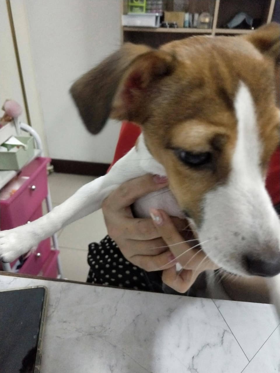 megapx