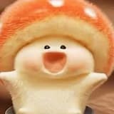 棉花糖貓貓