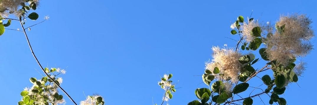 雨欣🍀