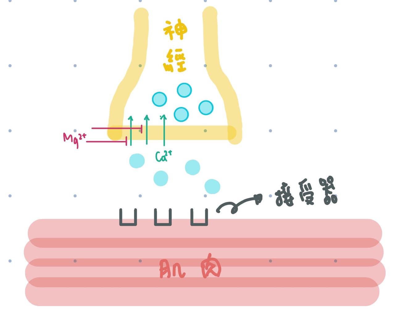 #知識 熱量這麼重要嗎?營養素才是重點! - 減肥板 | Dcard