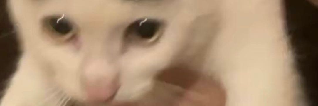 しぃ.