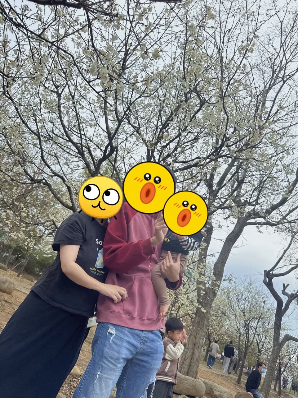 megapx