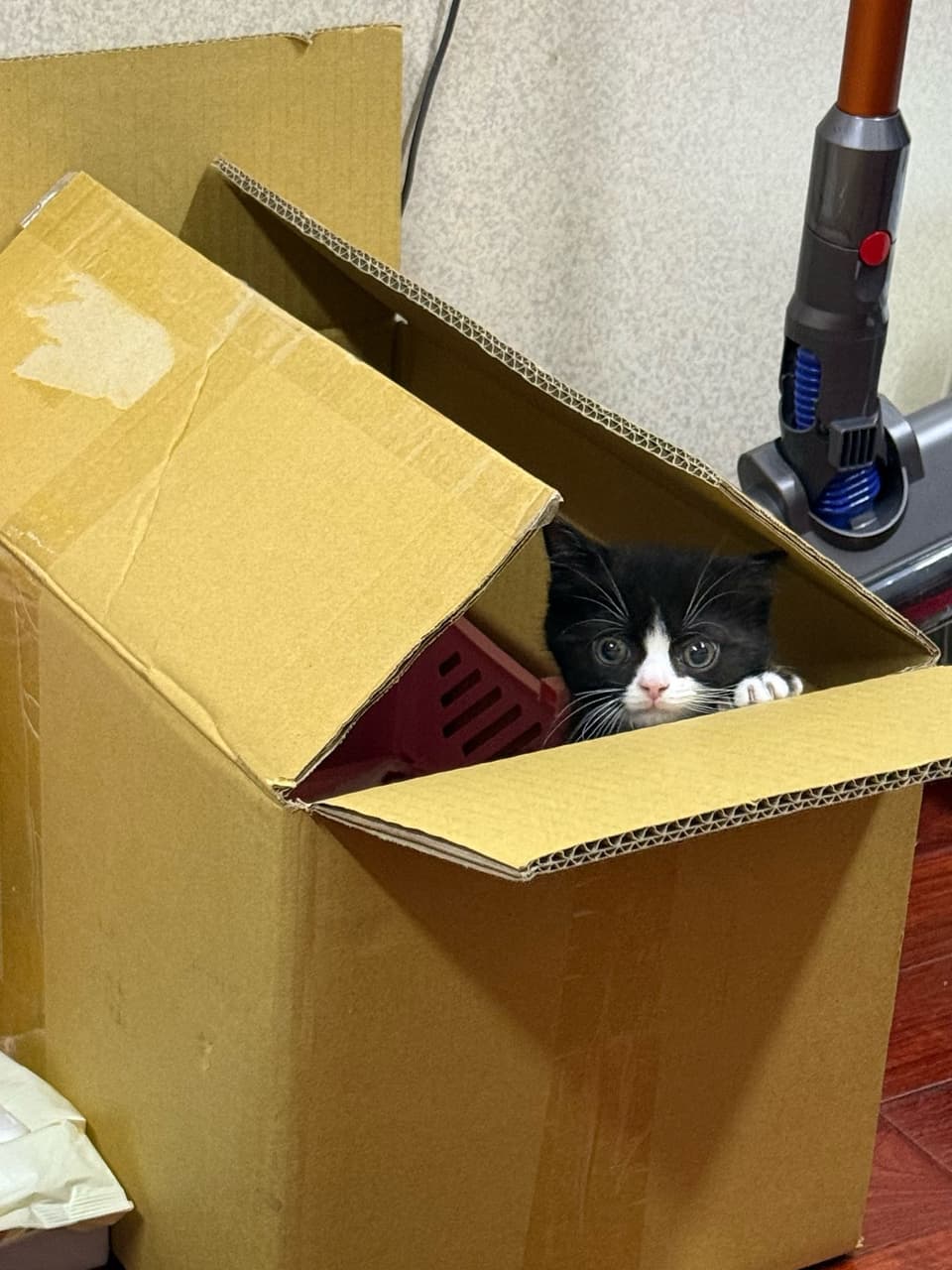 megapx