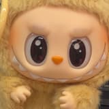 chiwawasocute