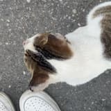 ( ᵒ̴̶̷̥́◡ ᵒ̴̶̷̣̥̀⸝⸝)