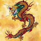 dragon龍龍