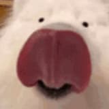 nexy