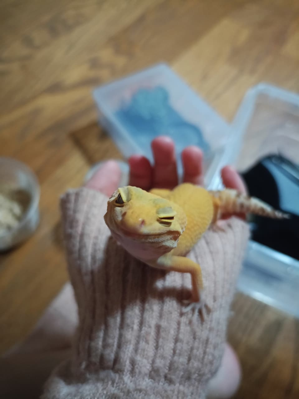 megapx
