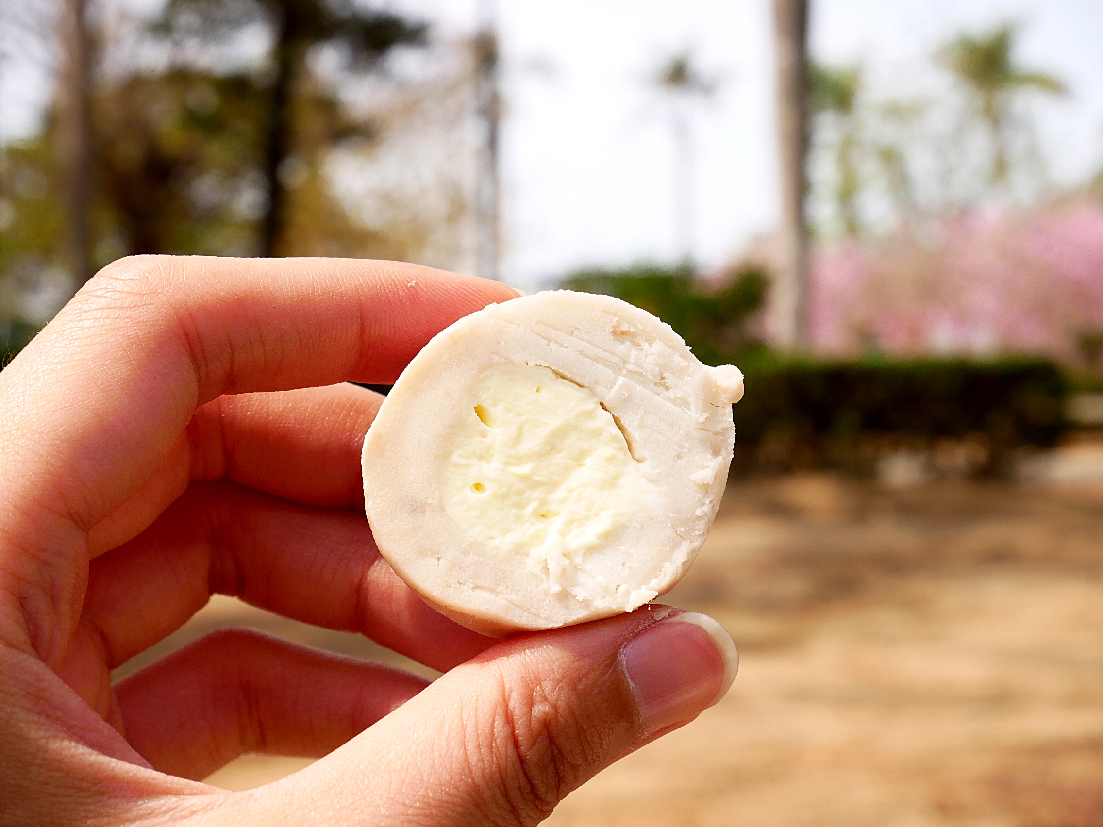 網路超夯的宅配甜點轉實體店面,多種口味芋泥球還不定期推限定款,綿密不甜超好吃