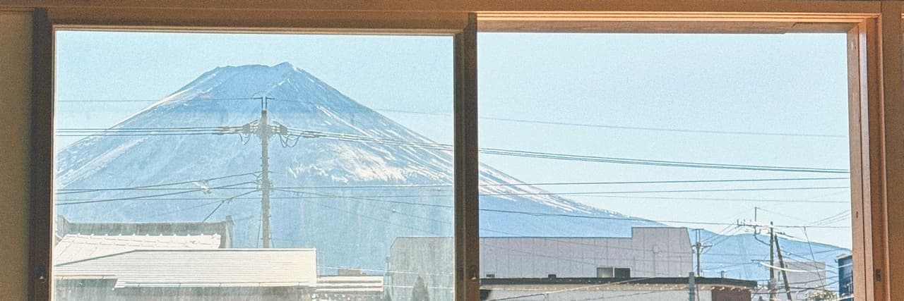 榴蓮丸飯