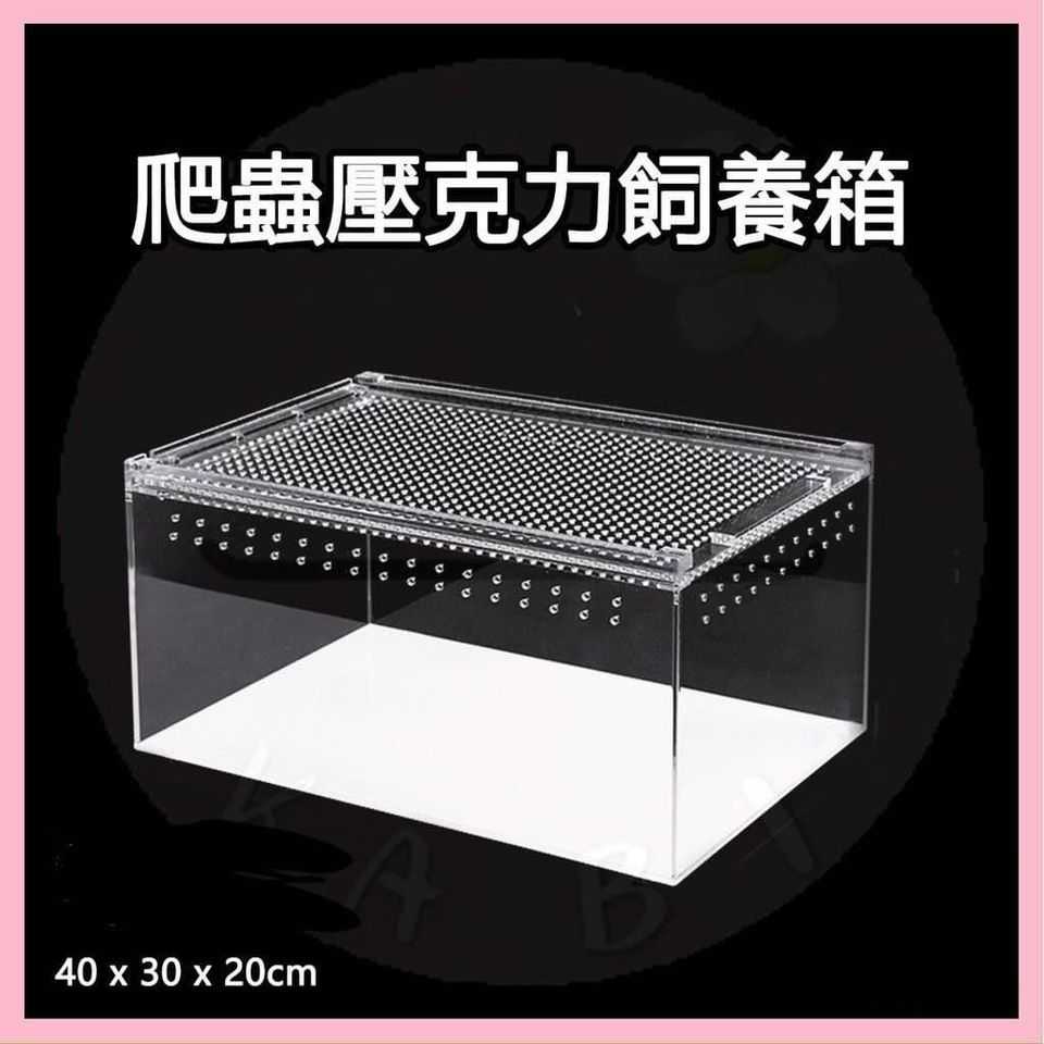 龜常見陸龜智商排名- 兩棲爬寵板| Dcard