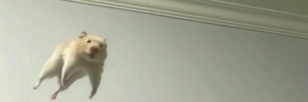 力口
