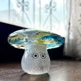 波波魚