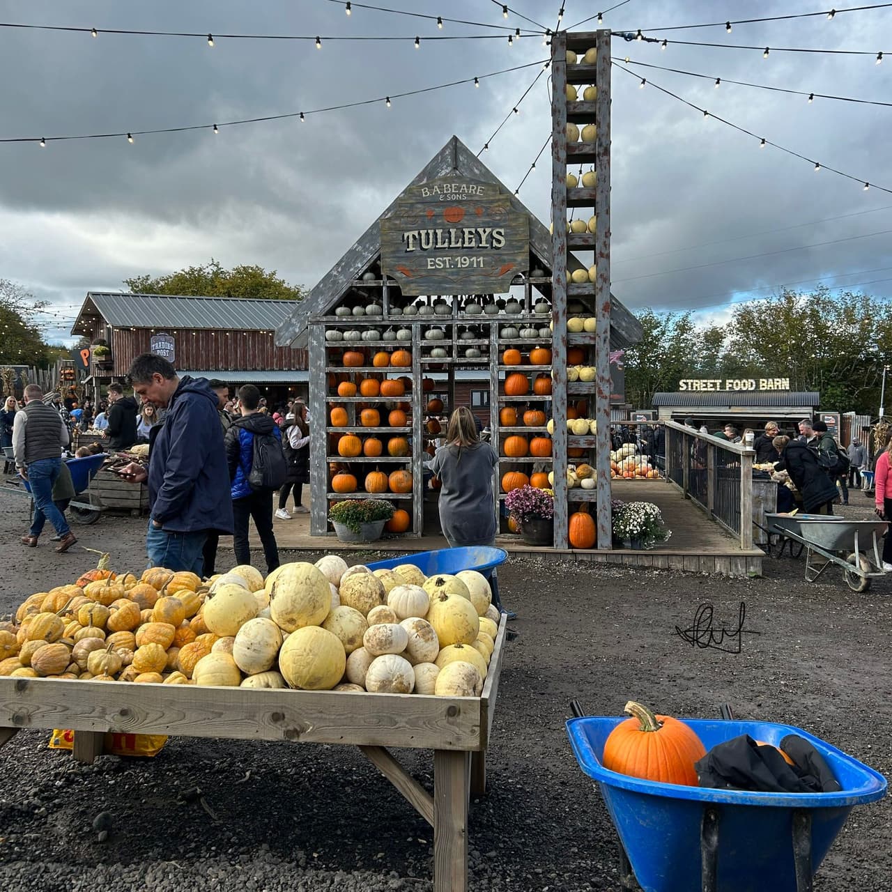 Tulleys Farm Rides Tulleys Pumpkin Festival- 南瓜的季節就該出來走走(圖多) - (*'ω'*) (@emcridemiili) | Dcard