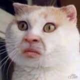 呱