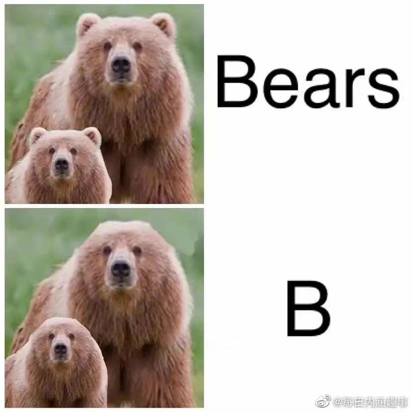 Bears :) - 梗圖板 | Dcard
