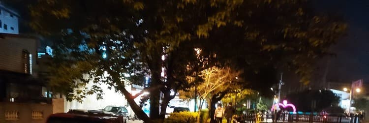 吳姓姊姊