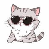 space_crypto