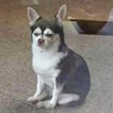 鹹魚翻身之術