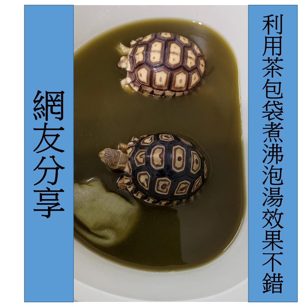 蘇卡達的相關討論與真實心得｜Dcard