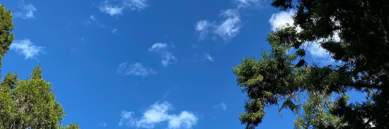 歌蘿