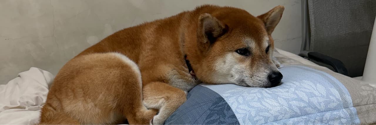 澄