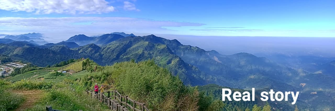 貓頭鷹
