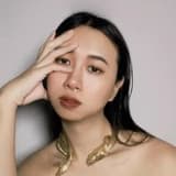 白馬王子絕緣體