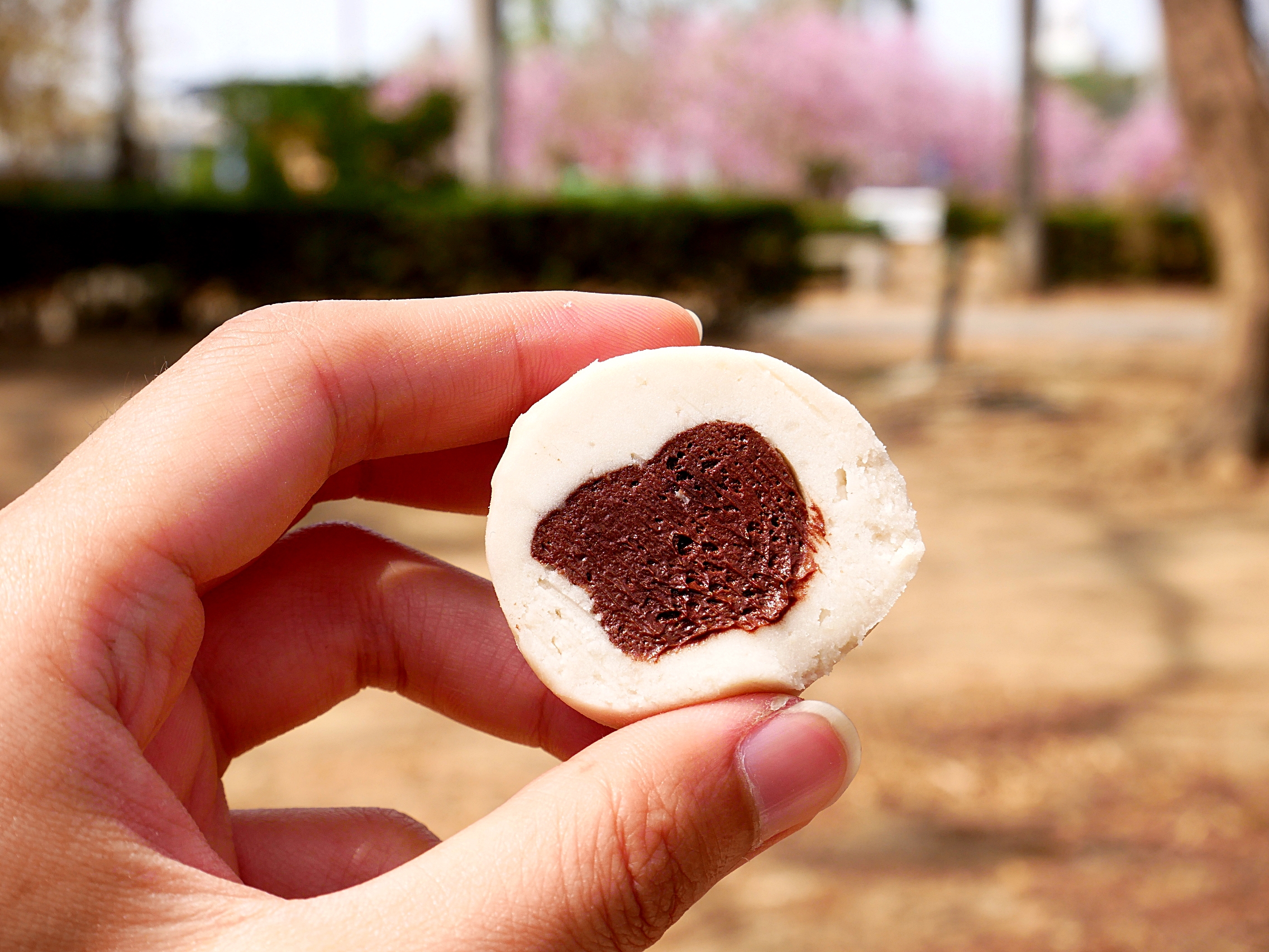 網路超夯的宅配甜點轉實體店面,多種口味芋泥球還不定期推限定款,綿密不甜超好吃