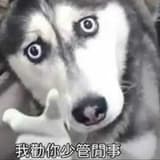 jcho