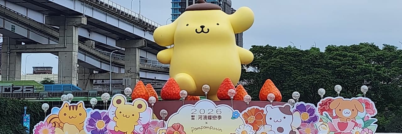 待我卷兔重來