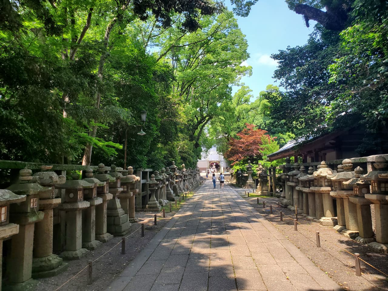 #行程分享 伏見稻荷+三十三間堂+宇治一日遊 - 日本旅遊板 | Dcard