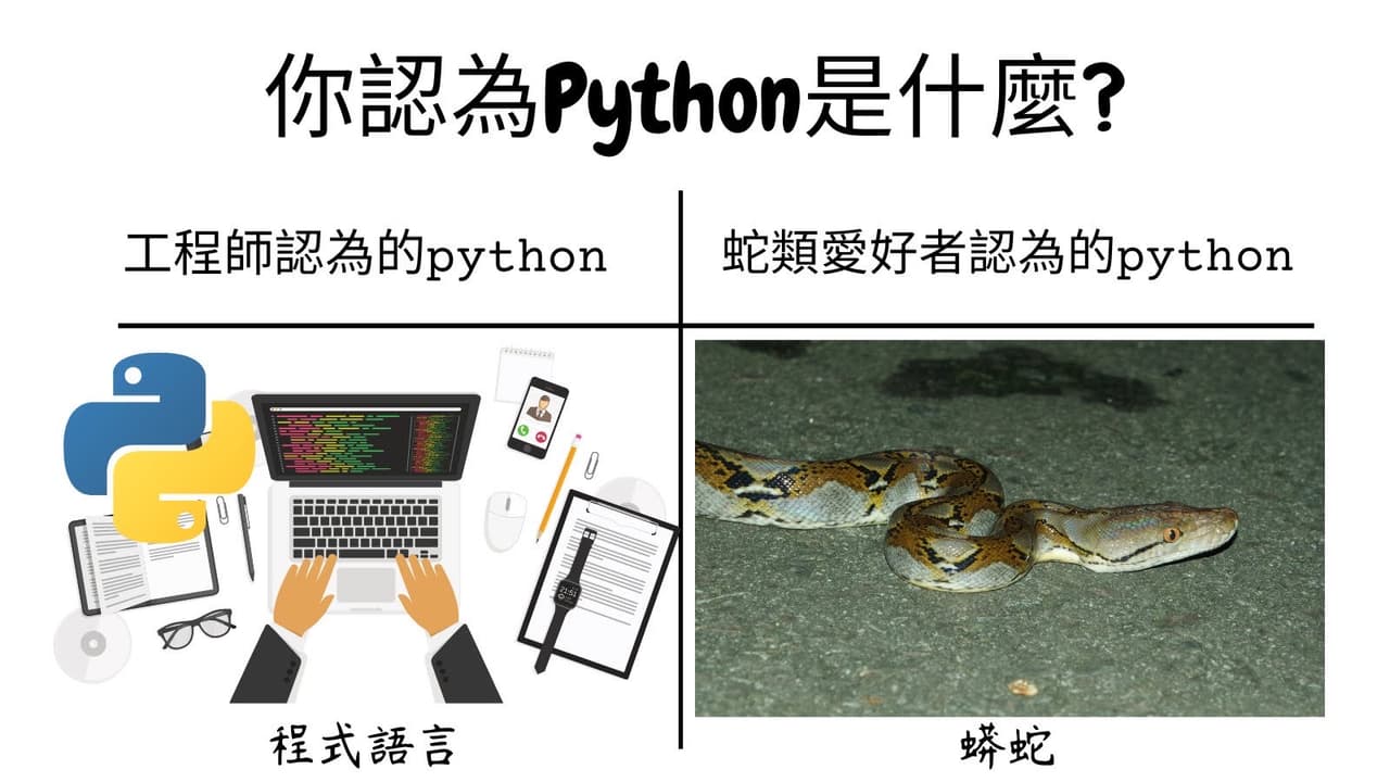 #自創 你認為Python是什麼? - 梗圖板 | Dcard