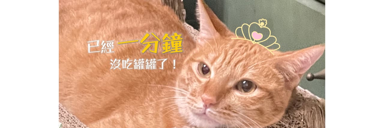 小魚仔•͈ᴗ⁃͈