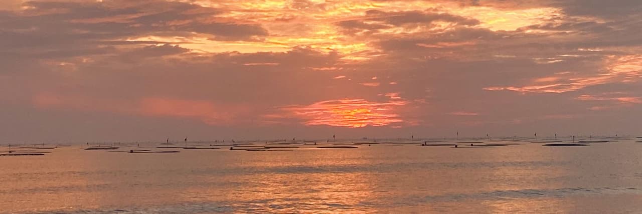 冰山美人vvn☁️