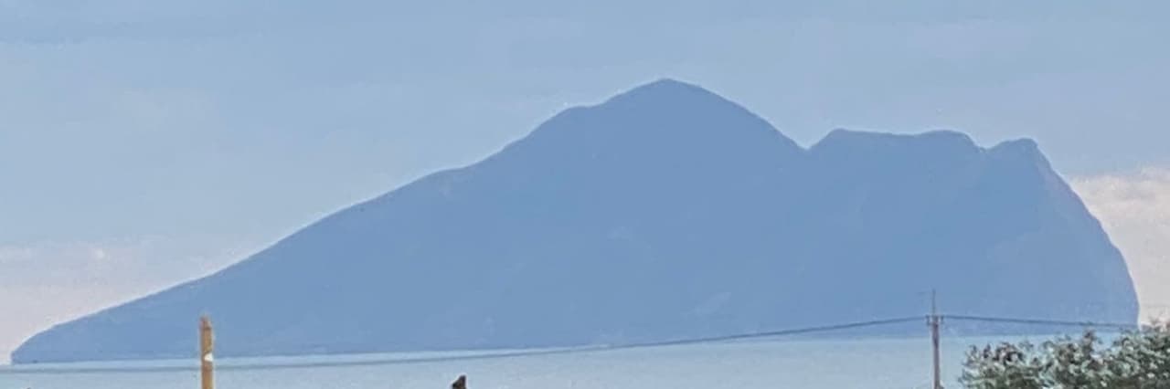 維克先生