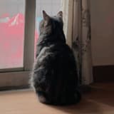 東漂的女子👩🏻