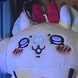 張飛老婆