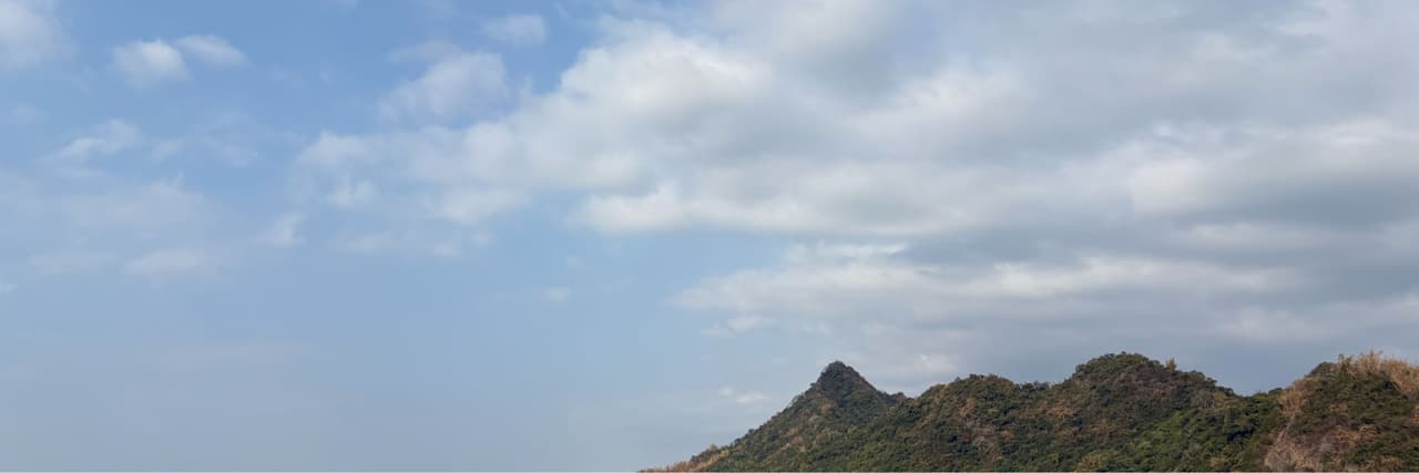 多莉去哪兒