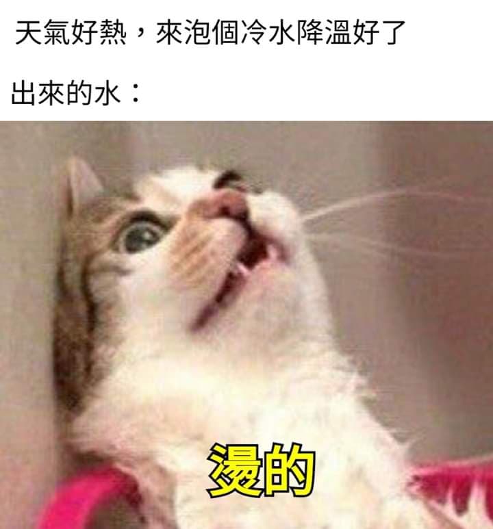 夏天來了 - 梗圖板 | Dcard