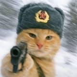 千檸