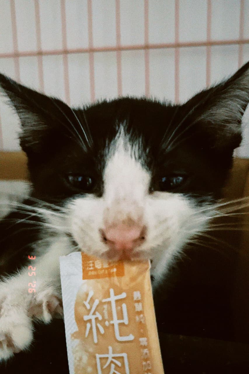 megapx