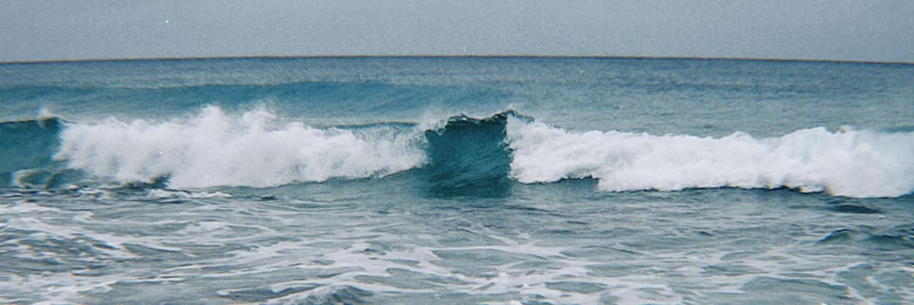 Manta^^