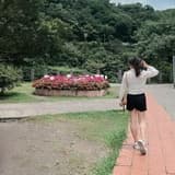 酪寶｜아보카도