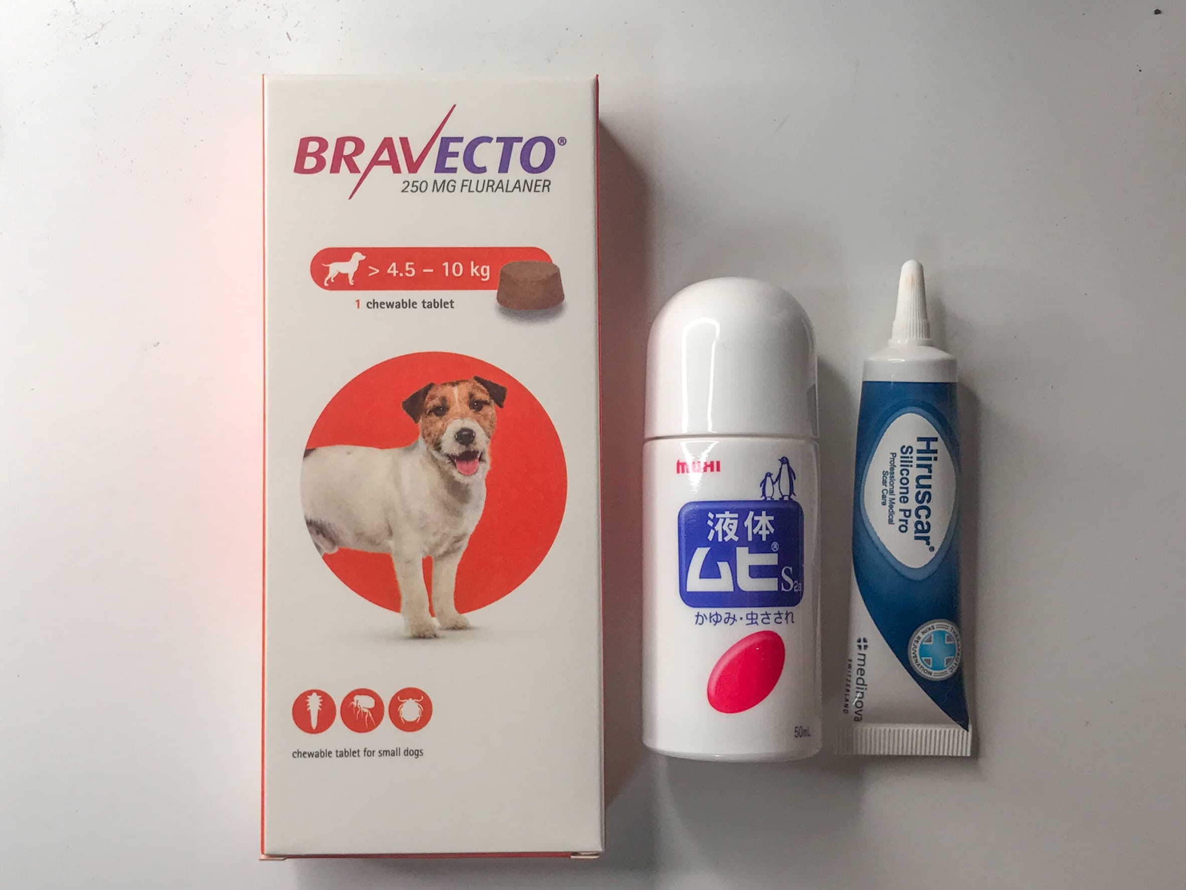 快被跳蚤咬死了- 心情板| Dcard